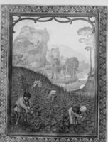 A102079