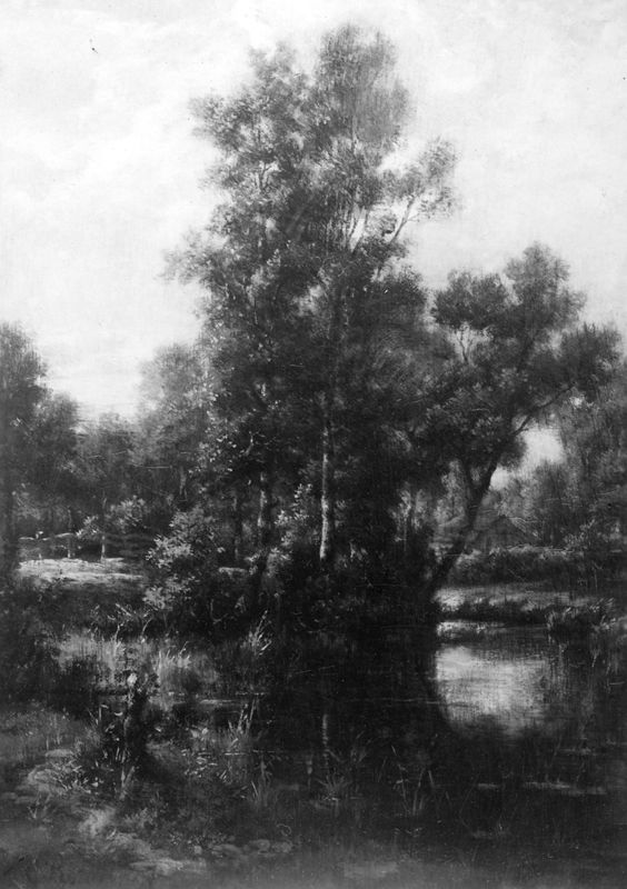 Paysage