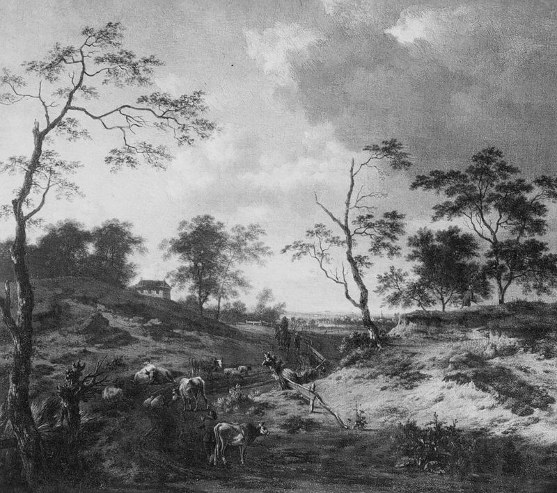 Paysage sablonneux