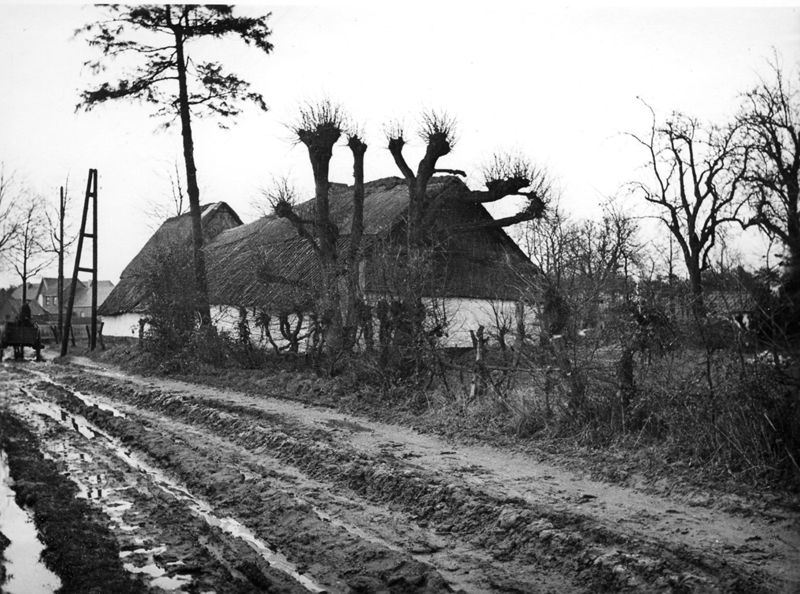 ferme[bâtiment] / Bouwwerk[Zonhoven]
