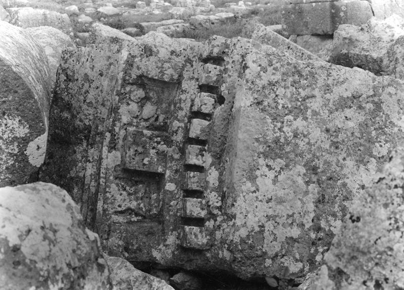 Site archéologique d'Apamée/Apamea: grande colonnade
