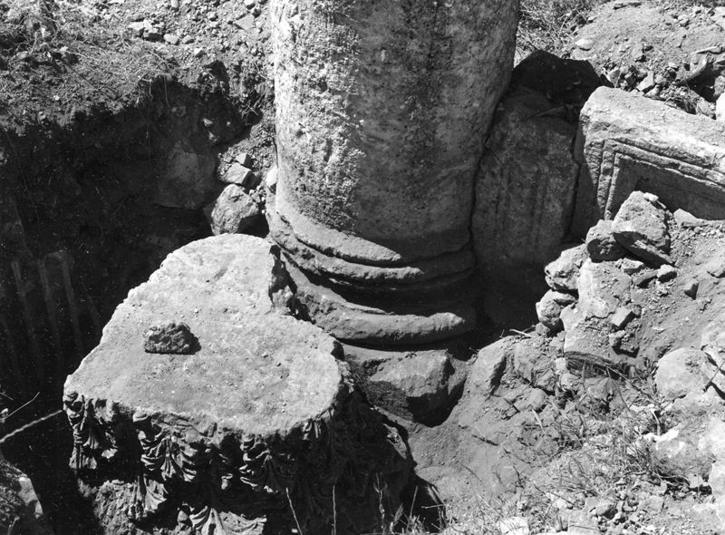 Site archéologique d'Apamée/Apamea: grande colonnade