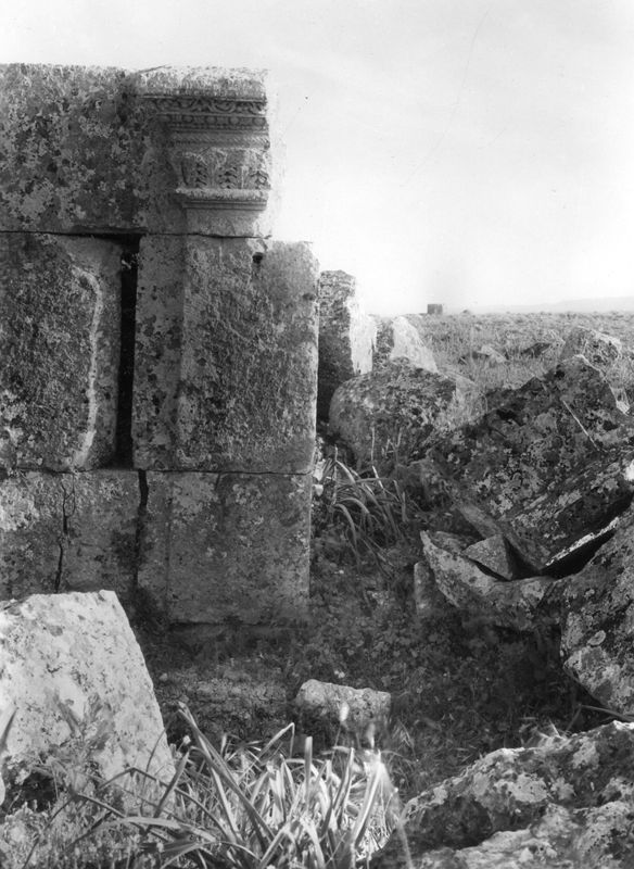 Site archéologique d'Apamée/Apamea: grande colonnade
