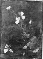 A111745