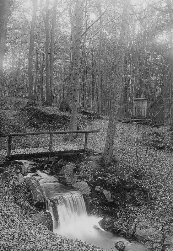 Ruisseau de la Sauvenière ou ruisseau d'orléans