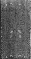 A113021