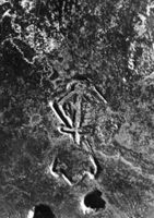 A113455