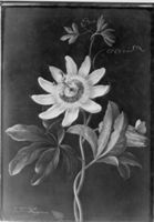 A115613