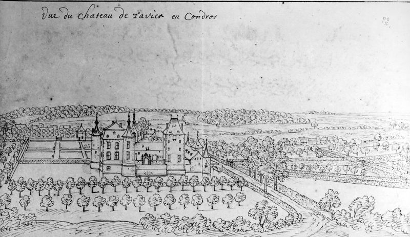 Les délices du Pays de Liège et de la comté de Namur : Achêne, le château de Taviet