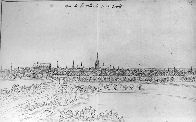 Les délices du Pays de Liège et de la comté de Namur : Saint-Trond, Panorama de la ville