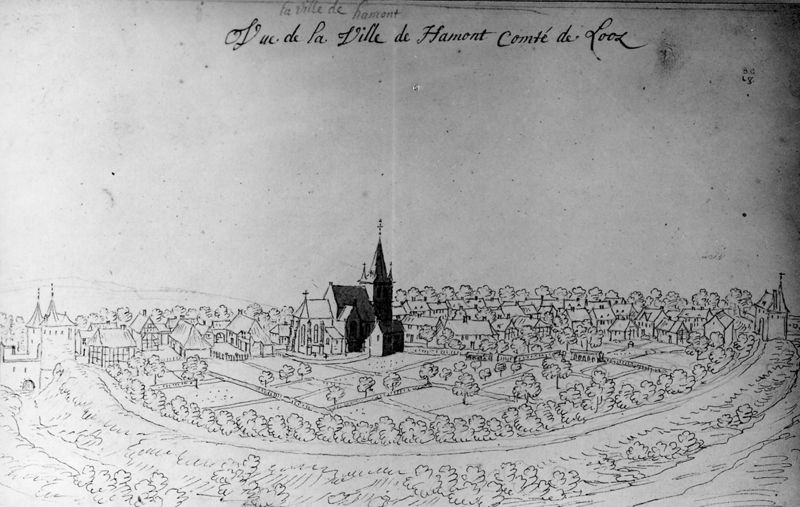 Les délices du Pays de Liège et de la comté de Namur : Hamont, vue de la ville