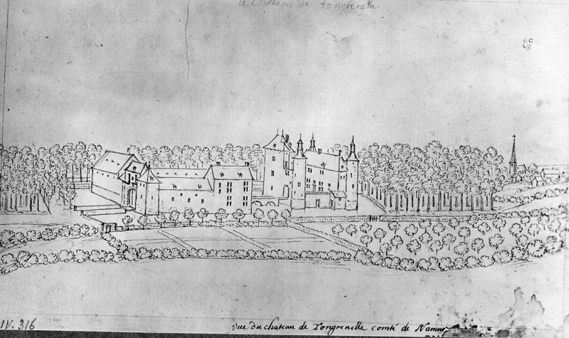 Les délices du Pays de Liège et de la comté de Namur : Tongrinne, Château de Tongrenelle (ou Tongrinelle)