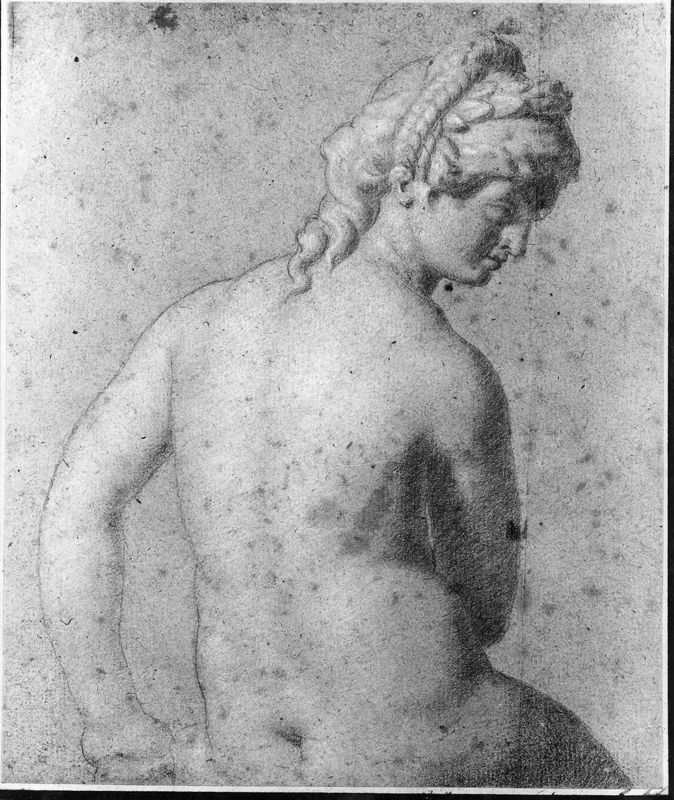 Torse de femme