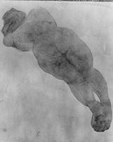 A117534