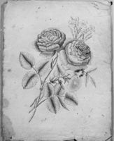 A117691