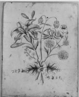 A117692