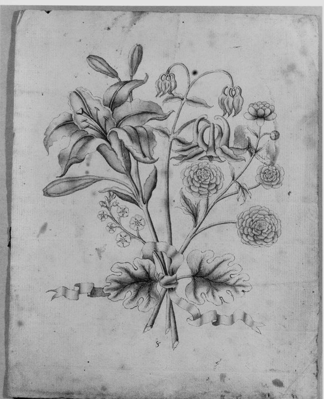 Fleurs