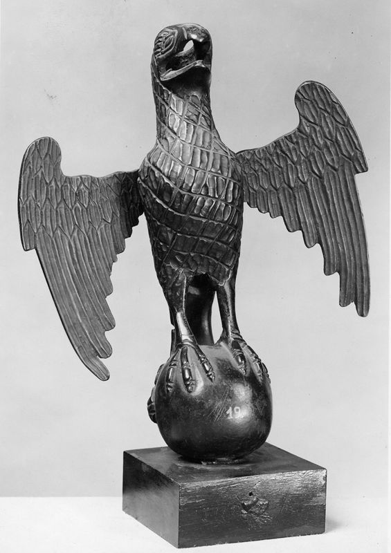 Petit aigle