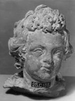 A120449