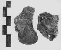 A121904