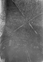 A126119