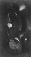 A126317