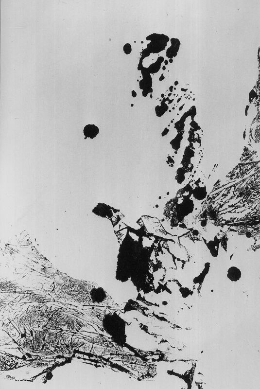 Blanc et noir 42