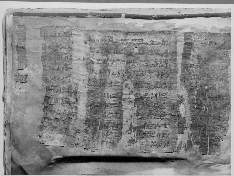 papyrus[objet] / Musée Curtius
