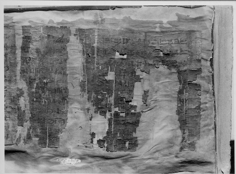 papyrus[objet] / Musée Curtius