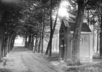 A131868