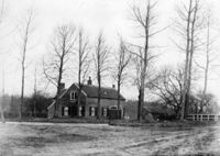 A131954