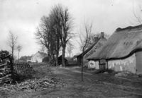A131956
