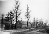 A131963