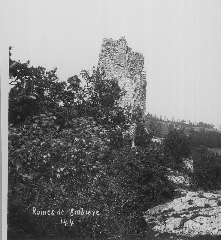 Ruines du château d'Amblève