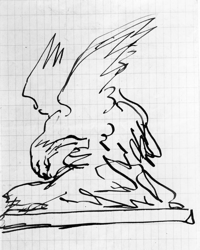 Studie voor arend