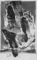 A135321