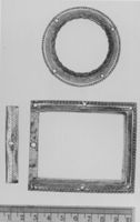 A135455