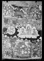 A135713