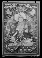A135717