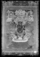 A135767
