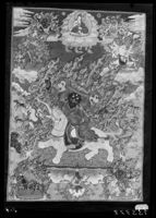 A135778