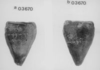 A140971