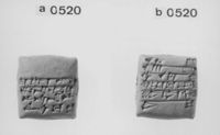 A140981