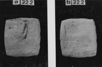A141271