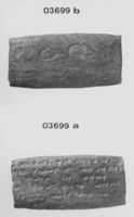 A141281