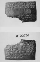 A141463