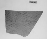 A141541