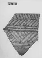A141544