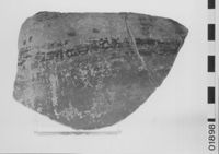 A141581