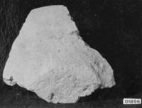 A141586